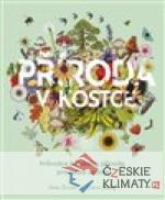 Příroda v kostce - książka