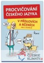 Procvičování českého jazyka - książka