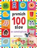 Prvních 100 slov se samolepkami - książka