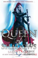 Queen of Shadows - książka