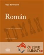 Román - książka