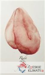 Rudá růže, černá gondola - książka