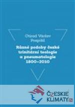 Různé podoby české trinitární teologie a pneumatologie 1800-2010 - książka