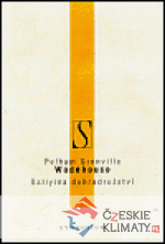 Sallyina dobrodružství - książka