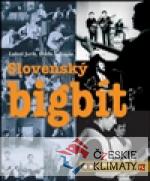 Slovenský bigbít - książka