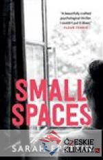 Small Spaces - książka