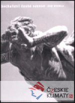 Sochařství české secese - książka