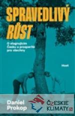 Spravedlivý růst - książka