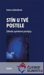 Stín u tvé postele - książka