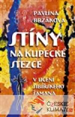 Stíny na kupecké stezce - książka