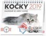 Stolní kalendář Kočky – se jmény koček 2019 - książka