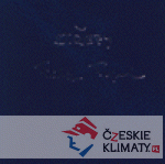 Střepy - książka