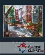 Střepy světla - książka