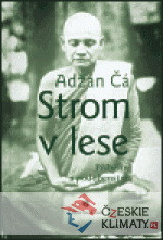 Strom v lese - książka