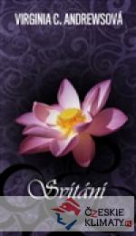 Svítání - książka