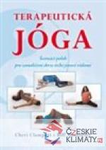 Terapeutická jóga - książka