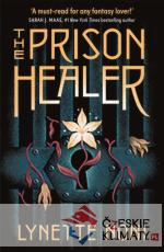 The Prison healer - książka