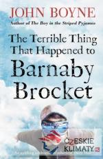 The Terrible Thing That Happened to Barnaby Brocket - książka