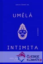 Umělá intimita - książka