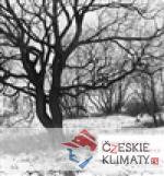 Uprostřed konce - książka