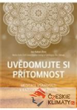 Uvědomujte si přítomnost - książka