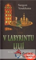 V labyrintu lilií - książka