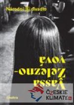 Vassa Železnovová - książka