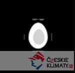 vejce / eggs + LP - książka