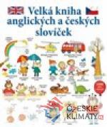 Velká kniha anglických a českých slovíček - książka