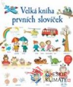 Velká kniha prvních slovíček - książka