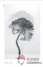 Vše o slunci - książka