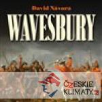 Wavesbury - książka