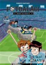 Záhada roje meteoritů - książka