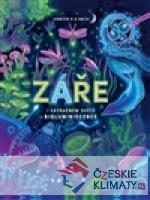 Záře - książka