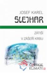 Zátiší / V zášeří krbu - książka