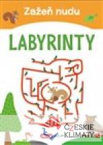 Zažeň nudu – Labyrinty - książka