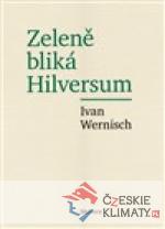 Zeleně bliká Hilversum - książka